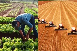 Agricultura Familiar e agronegocio